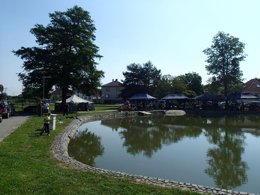 P8221159